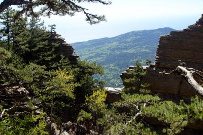 Прикрепленное изображение: A58DSC08393.jpg